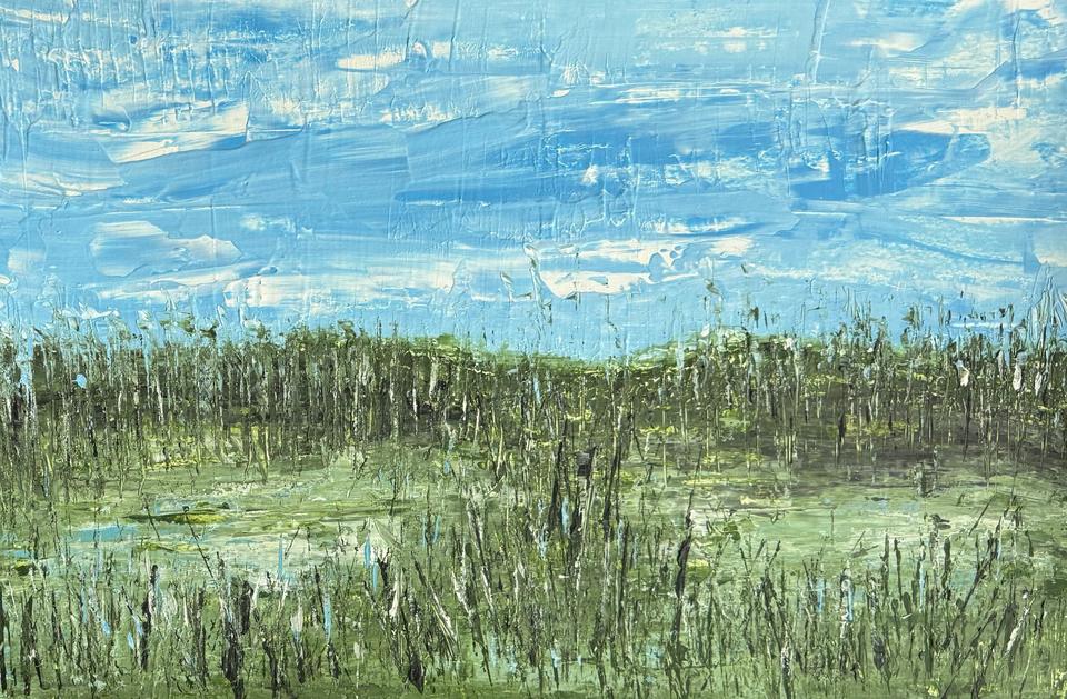 Abstrakte Wiese aus hohen dunkelgrünen und weißen Gräsern unter einem blauen Himmel mit abgekratzten weißen Wolken.
